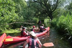 Mehrere Kanus auf einem Flu&szlig;.